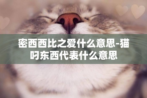 密西西比之愛什么意思-貓叼東西代表什么意思