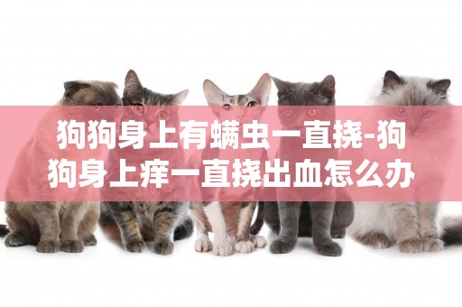 狗狗身上有螨蟲一直撓-狗狗身上癢一直撓出血怎么辦