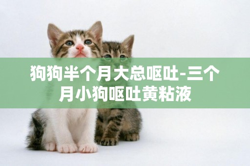 狗狗半個月大總嘔吐-三個月小狗嘔吐黃粘液