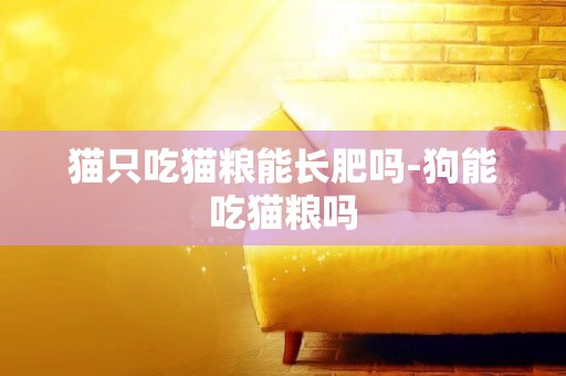 貓只吃貓糧能長肥嗎-狗能吃貓糧嗎