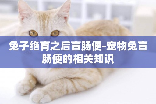兔子絕育之后盲腸便-寵物兔盲腸便的相關知識