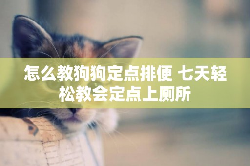 怎么教狗狗定點排便 七天輕松教會定點上廁所