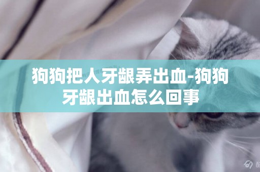 狗狗把人牙齦弄出血-狗狗牙齦出血怎么回事
