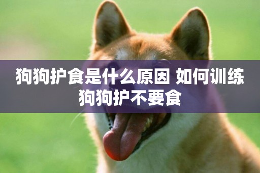 狗狗護食是什么原因 如何訓練狗狗護不要食