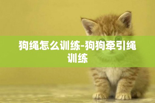 狗繩怎么訓練-狗狗牽引繩訓練