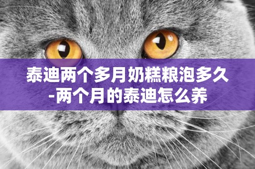 泰迪兩個多月奶糕糧泡多久-兩個月的泰迪怎么養