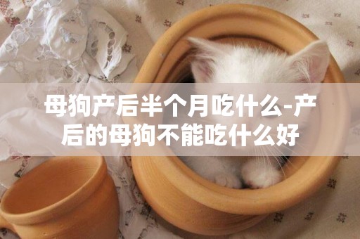 母狗產后半個月吃什么-產后的母狗不能吃什么好