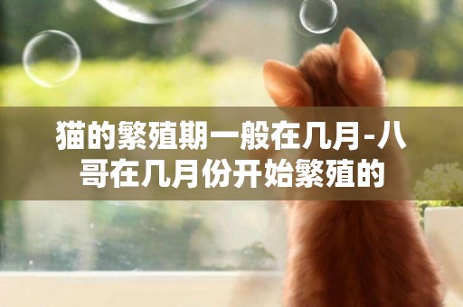 貓的繁殖期一般在幾月-八哥在幾月份開始繁殖的