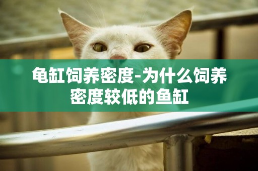 龜缸飼養密度-為什么飼養密度較低的魚缸