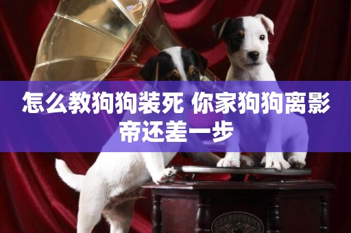 怎么教狗狗裝死 你家狗狗離影帝還差一步