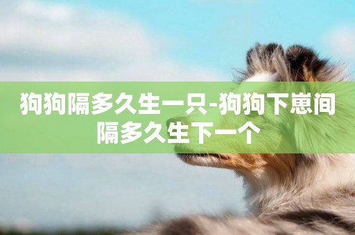 狗狗隔多久生一只-狗狗下崽間隔多久生下一個