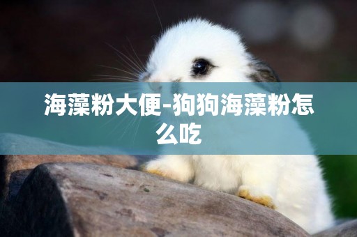 海藻粉大便-狗狗海藻粉怎么吃