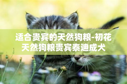 適合貴賓的天然狗糧-初花天然狗糧貴賓泰迪成犬