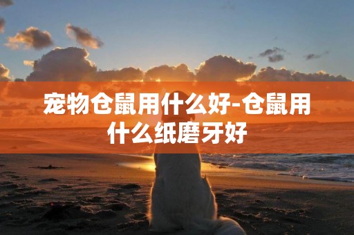 寵物倉鼠用什么好-倉鼠用什么紙磨牙好