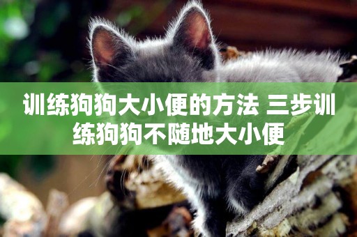 訓練狗狗大小便的方法 三步訓練狗狗不隨地大小便