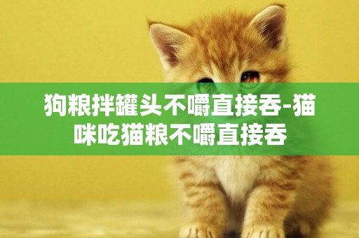 狗糧拌罐頭不嚼直接吞-貓咪吃貓糧不嚼直接吞