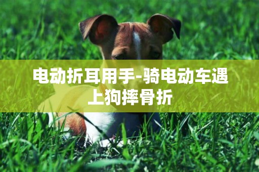 電動折耳用手-騎電動車遇上狗摔骨折