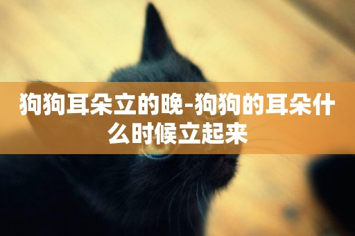 狗狗耳朵立的晚-狗狗的耳朵什么時候立起來