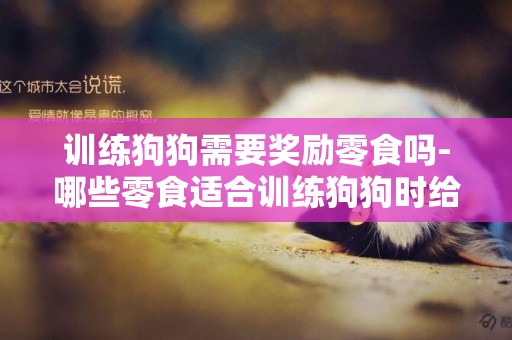 訓練狗狗需要獎勵零食嗎-哪些零食適合訓練狗狗時給的獎勵零食