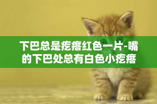 下巴總是疙瘩紅色一片-嘴的下巴處總有白色小疙瘩