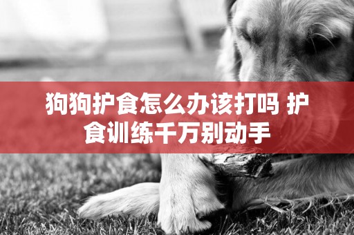 狗狗護食怎么辦該打嗎 護食訓練千萬別動手