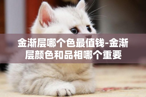 金漸層哪個色最值錢-金漸層顏色和品相哪個重要