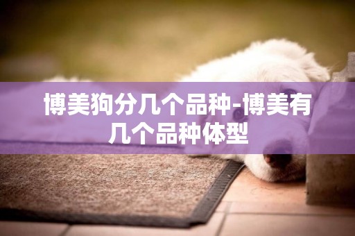 博美狗分幾個品種-博美有幾個品種體型