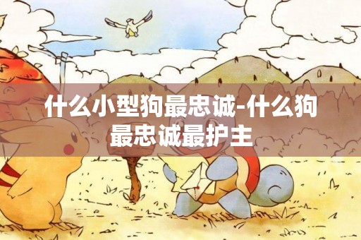 什么小型狗最忠誠-什么狗最忠誠最護主