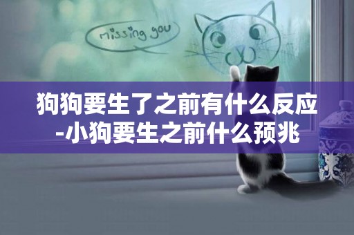 狗狗要生了之前有什么反應-小狗要生之前什么預兆