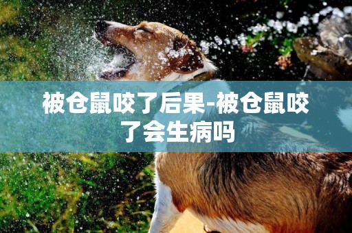 被倉鼠咬了后果-被倉鼠咬了會生病嗎