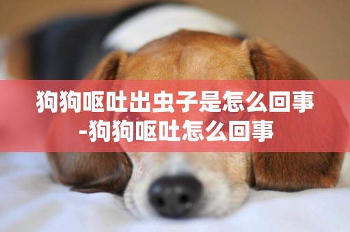 狗狗嘔吐出蟲子是怎么回事-狗狗嘔吐怎么回事