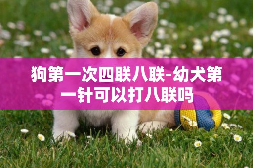 狗第一次四聯八聯-幼犬第一針可以打八聯嗎