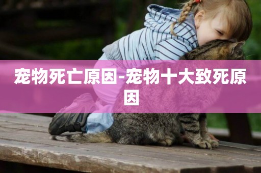 寵物死亡原因-寵物十大致死原因