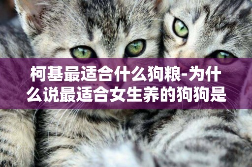 柯基最適合什么狗糧-為什么說最適合女生養的狗狗是柯基犬