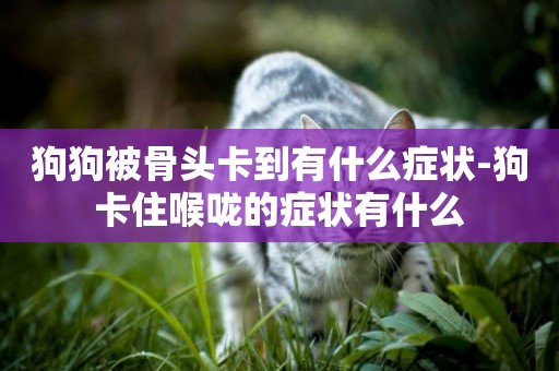 狗狗被骨頭卡到有什么癥狀-狗卡住喉嚨的癥狀有什么