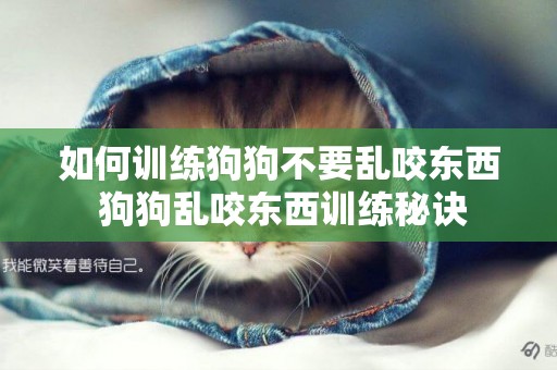 如何訓練狗狗不要亂咬東西 狗狗亂咬東西訓練秘訣