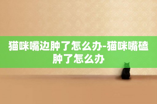 貓咪嘴邊腫了怎么辦-貓咪嘴磕腫了怎么辦