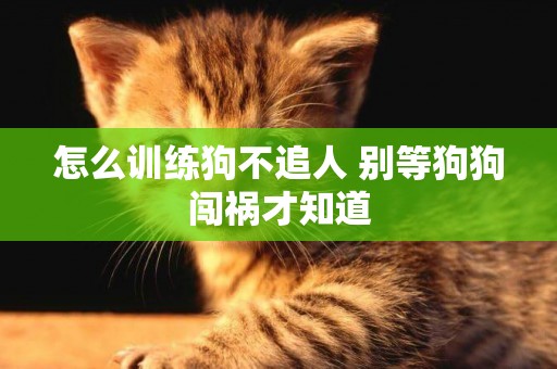 怎么訓練狗不追人 別等狗狗闖禍才知道