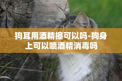 狗耳用酒精擦可以嗎-狗身上可以噴酒精消毒嗎