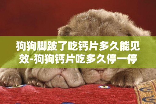 狗狗腳跛了吃鈣片多久能見效-狗狗鈣片吃多久停一停