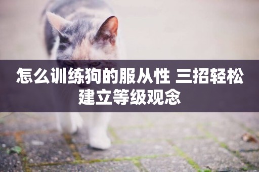 怎么訓練狗的服從性 三招輕松建立等級觀念