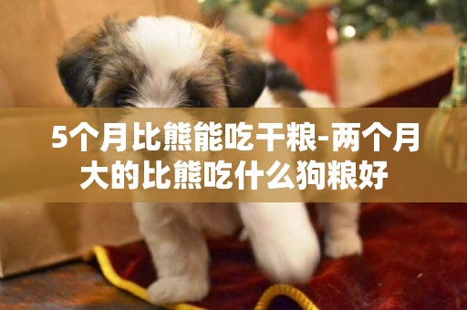 5個月比熊能吃干糧-兩個月大的比熊吃什么狗糧好