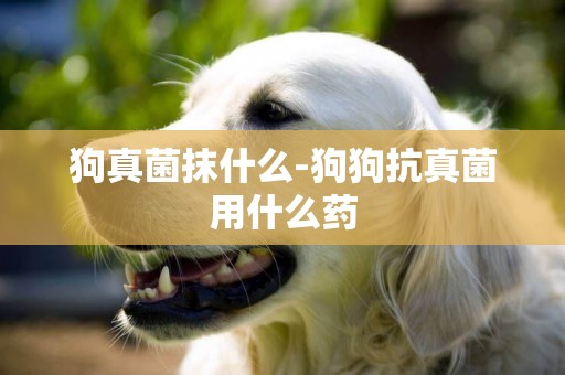 狗真菌抹什么-狗狗抗真菌用什么藥