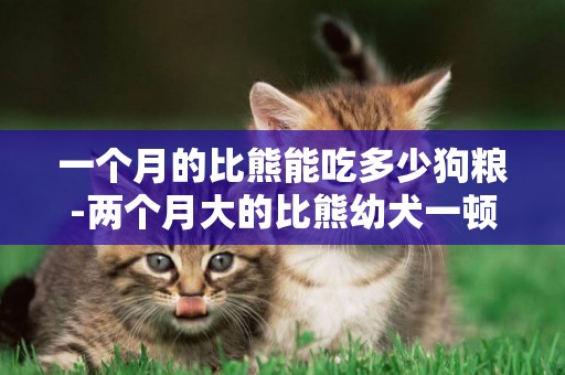 一個月的比熊能吃多少狗糧-兩個月大的比熊幼犬一頓喂多少狗糧