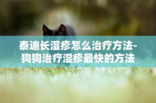 泰迪長濕疹怎么治療方法-狗狗治療濕疹最快的方法