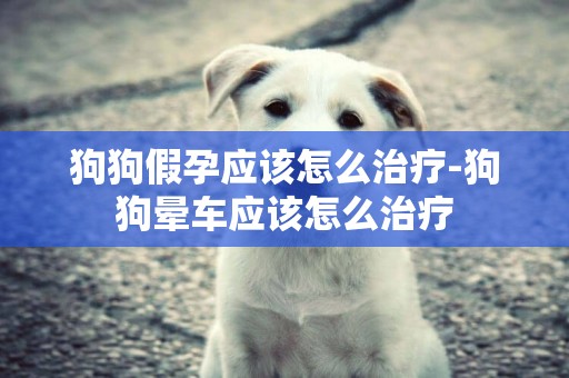 狗狗假孕應該怎么治療-狗狗暈車應該怎么治療