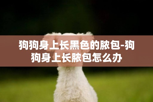 狗狗身上長黑色的膿包-狗狗身上長膿包怎么辦