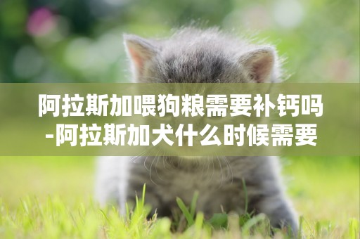 阿拉斯加喂狗糧需要補鈣嗎-阿拉斯加犬什么時候需要補鈣