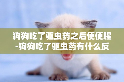 狗狗吃了驅蟲藥之后便便腥-狗狗吃了驅蟲藥有什么反應