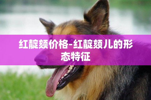 紅靛頦價格-紅靛頦兒的形態特征